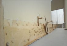 란초에 있는 새들